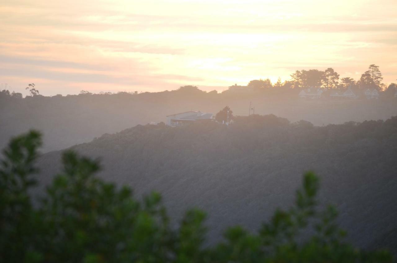 Apartamento A Wave Song Wildernis Exterior foto